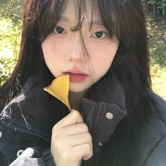 撞车